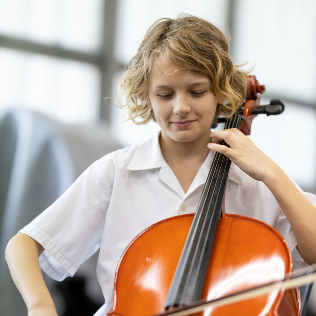 The McDonald College Performing Arts Primary and Secondary School in Sydney