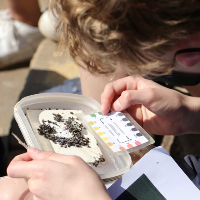 Science at McDonald College in Sydney Inner West