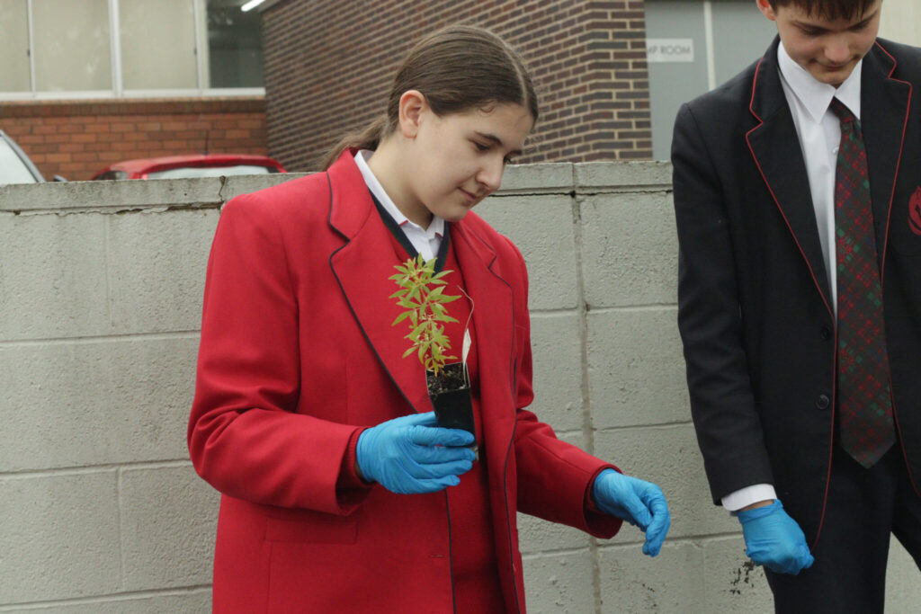 Science week,indigenous garden,enviornmental science