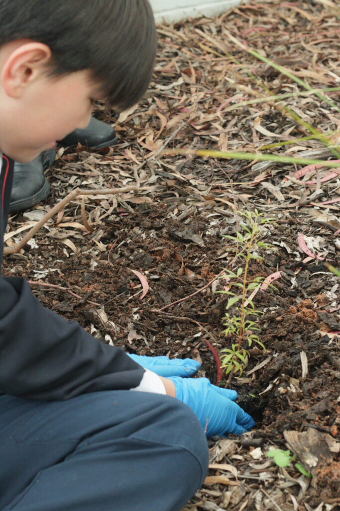 Science week,indigenous garden,enviornmental science